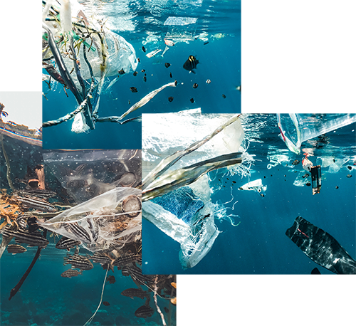Pitures presented plastic polution in tjhe ocean